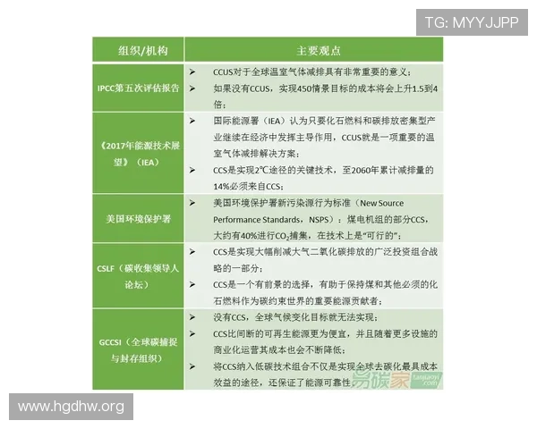 1xt bet投注平台全面评估：风险防范与使用技巧详解